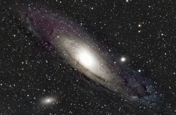 M31