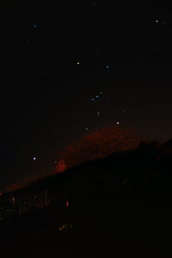 Orion wide field